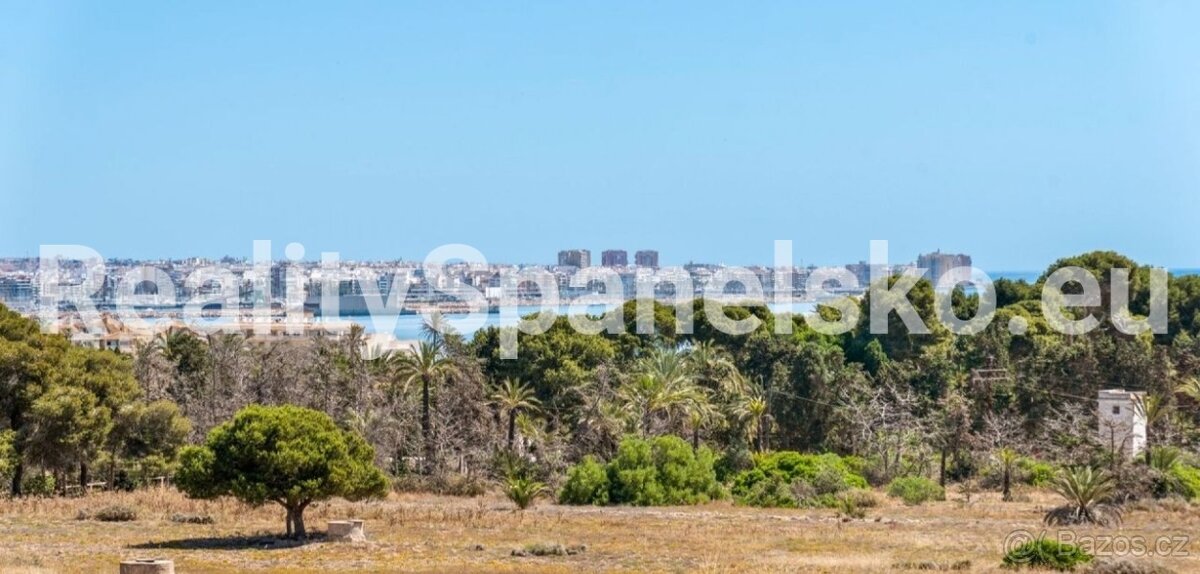 Apartmán 3+kk Španělsko / Punta Prima - 10