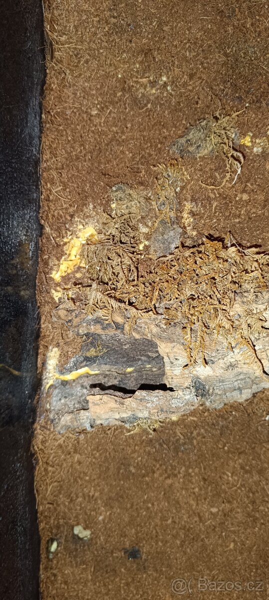 Skleněné terárium 120×80×40 cm - 10