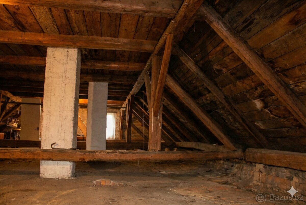 Dům 3+1, 160m2, Rýžoviště - 10