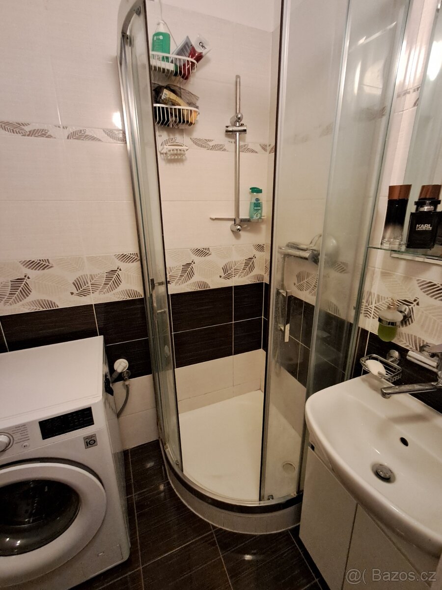 Pronájem bytu 2+1 v Týnci nad Sázavou. - 10