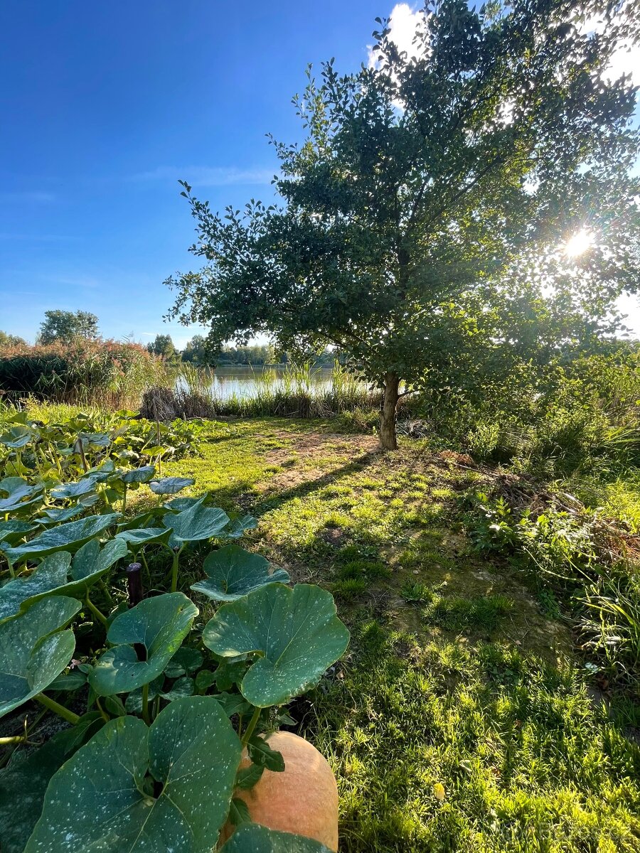 ZAHRADA NA PRODEJ - 10