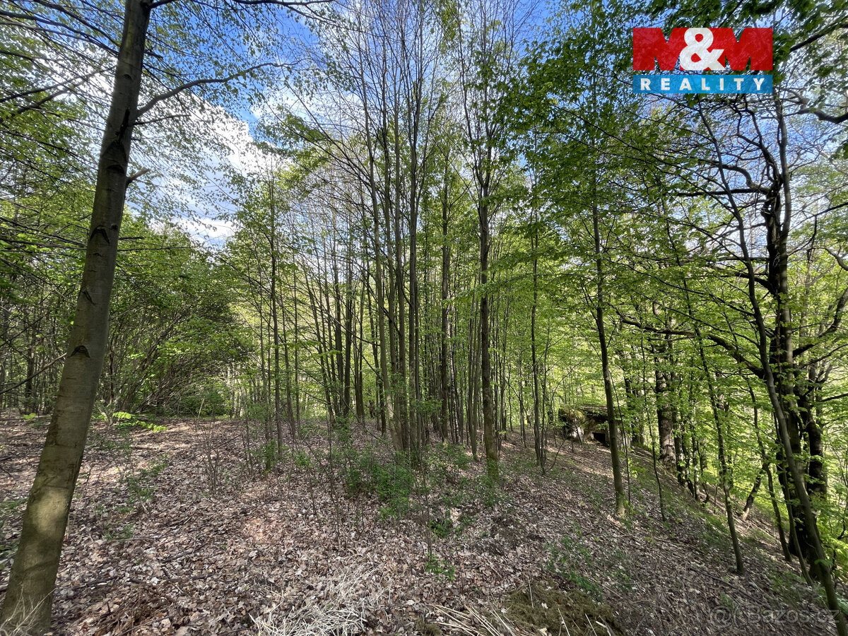 Prodej zahrady, 2545 m², Chrastava, Andělská Hora - 10