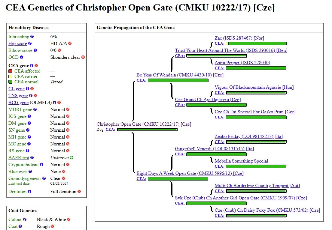 Štěňata border kolie s PP - již k odběru - 10