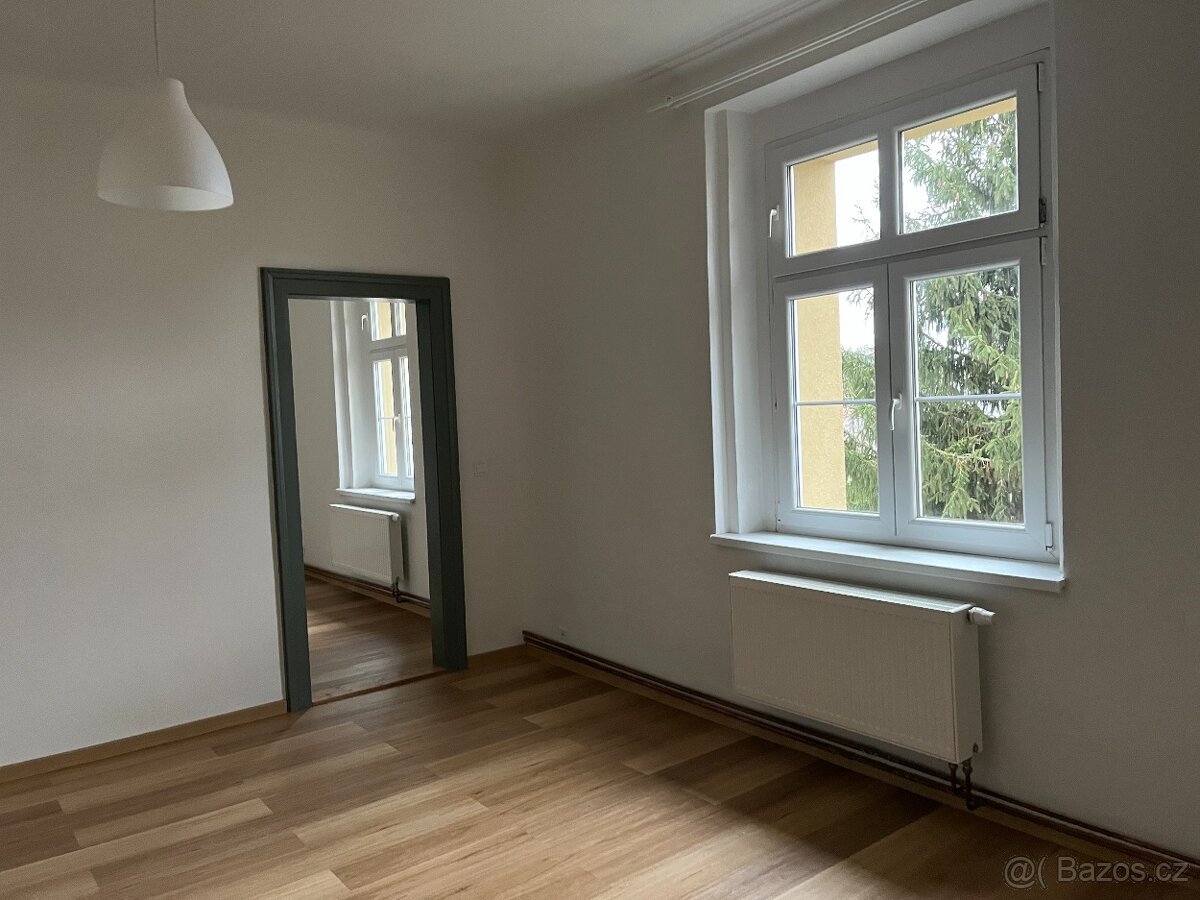 Pronájem bytu 2+1, Plzeň-Bory - 10