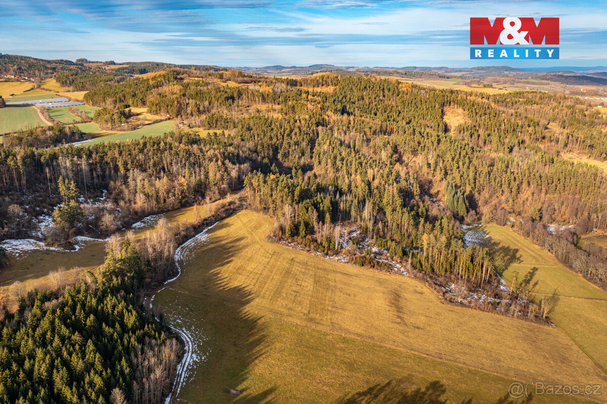 Prodej lesa, 30891 m², Malenice - 10