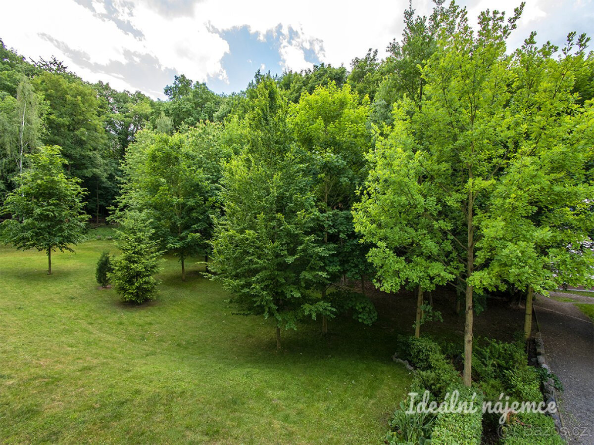 Pronájem bytu 2+kk, U Zátiší, Hodkovičky, 23500 Kč/měs, 72 m - 10