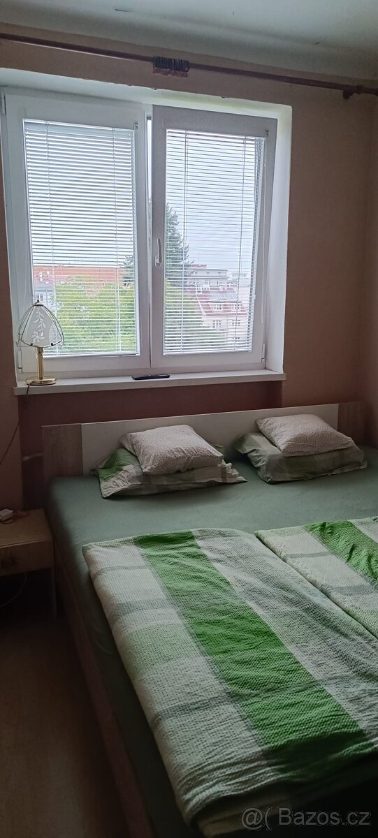 Byt 3+1 cihla Plzeň Bory Máchova ulice - 10