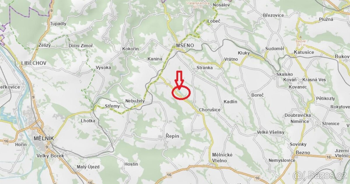 Prodej lesního pozemku v k.ú. Chorušice - 10