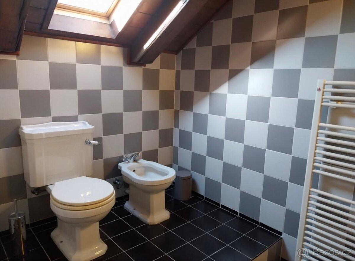 Pronájem bytu 3kk- Praha 1 - 10