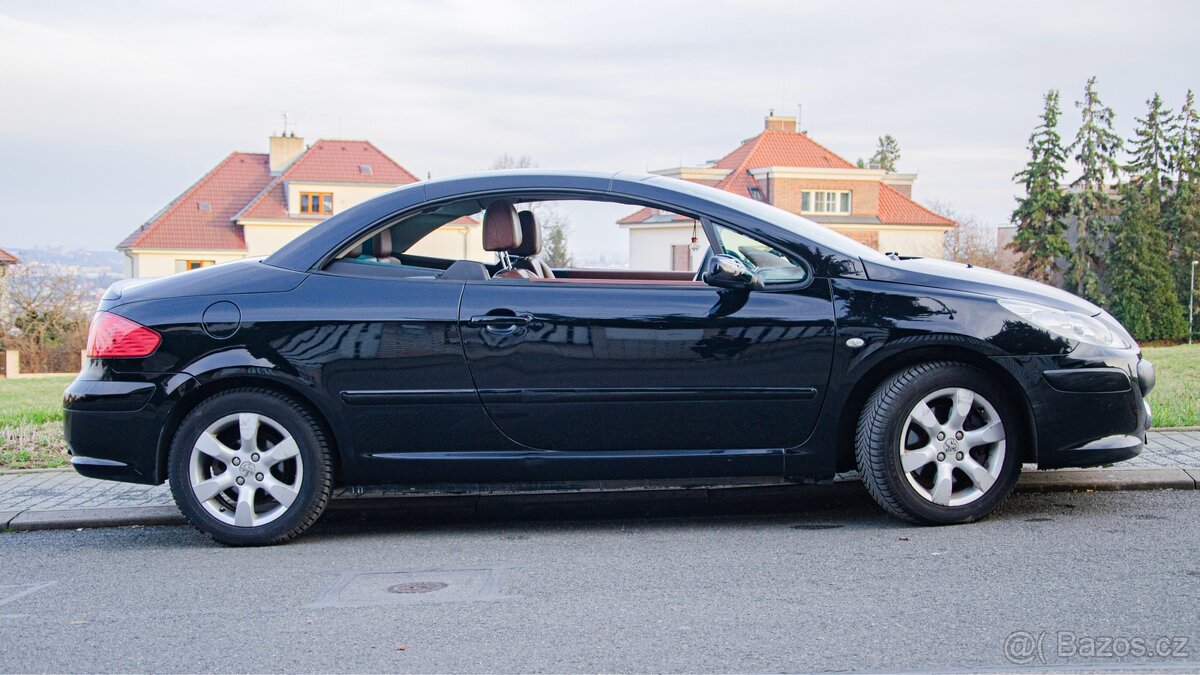 Peugeot 307 cc - Platinium - 10