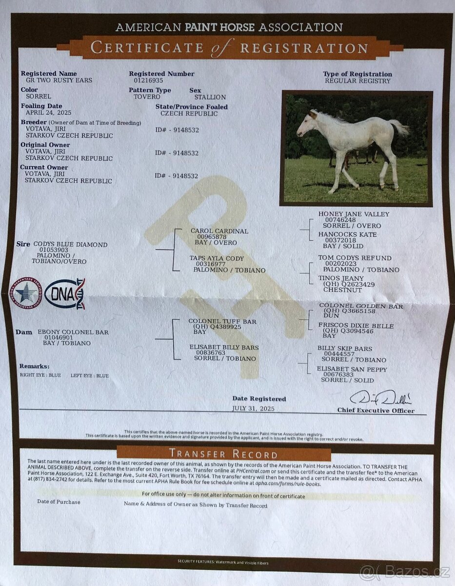 Hřebeček APH 2025 - 10