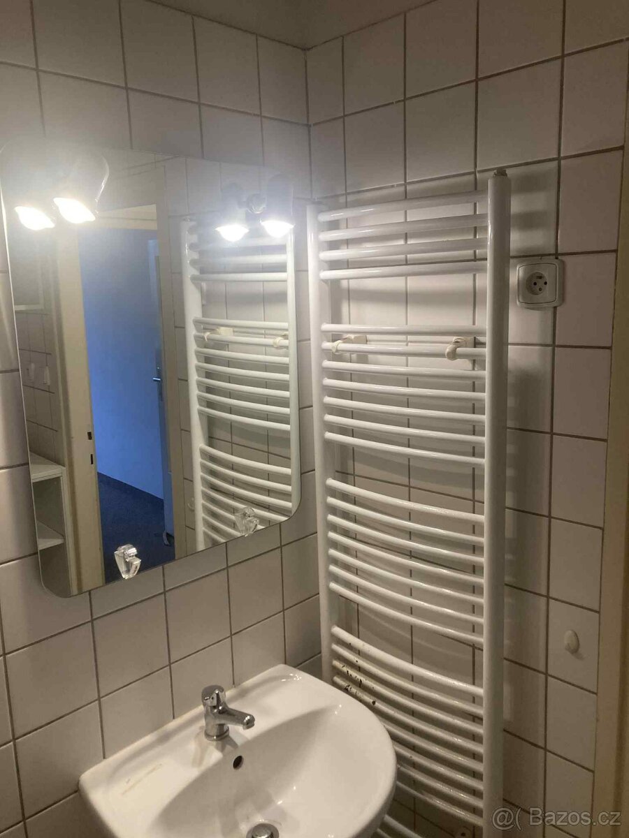 Pronájem bytu 3+1, 70 m Brno, Jaselská - 10