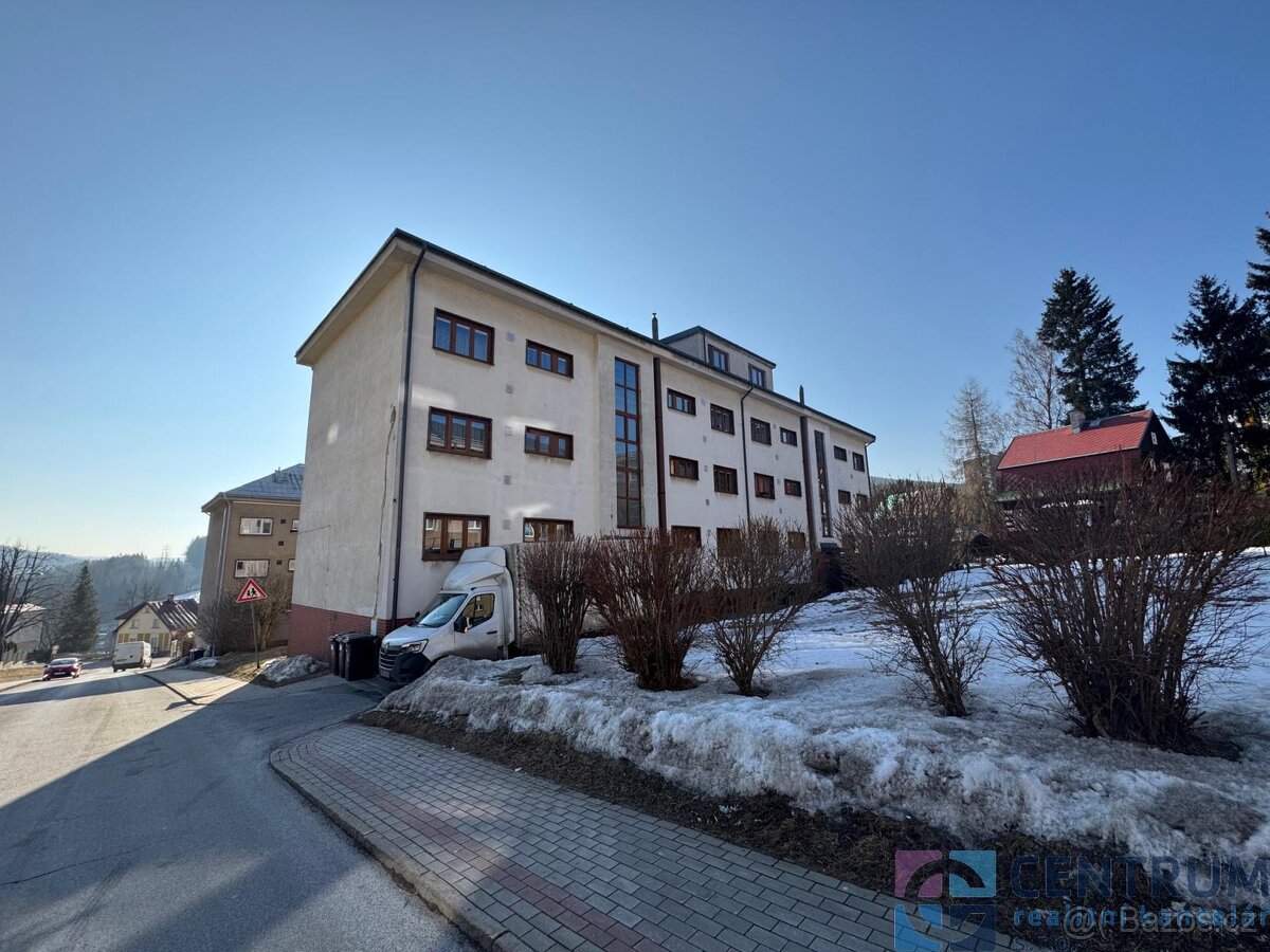 Pronájem bytu 1+1, 56 m2 - 10