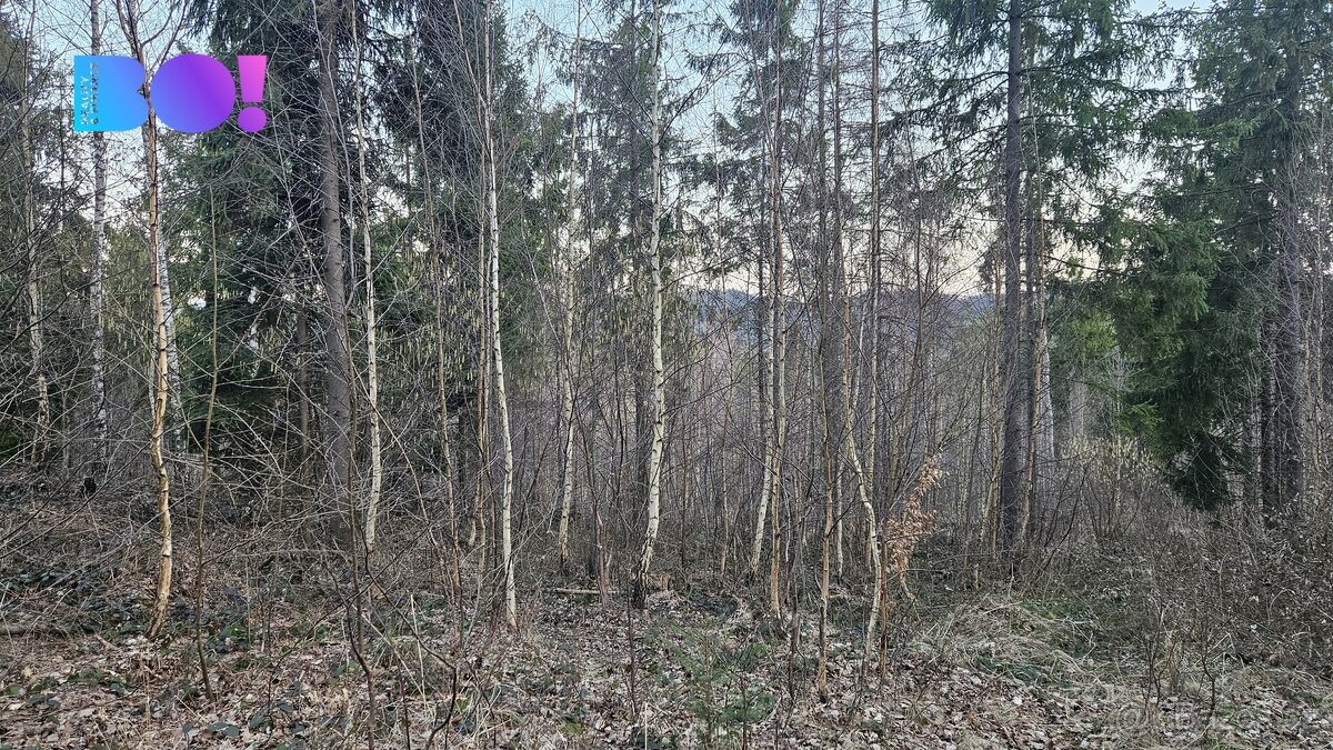 Prodej lesů, 55 558 m², Rybí - 10