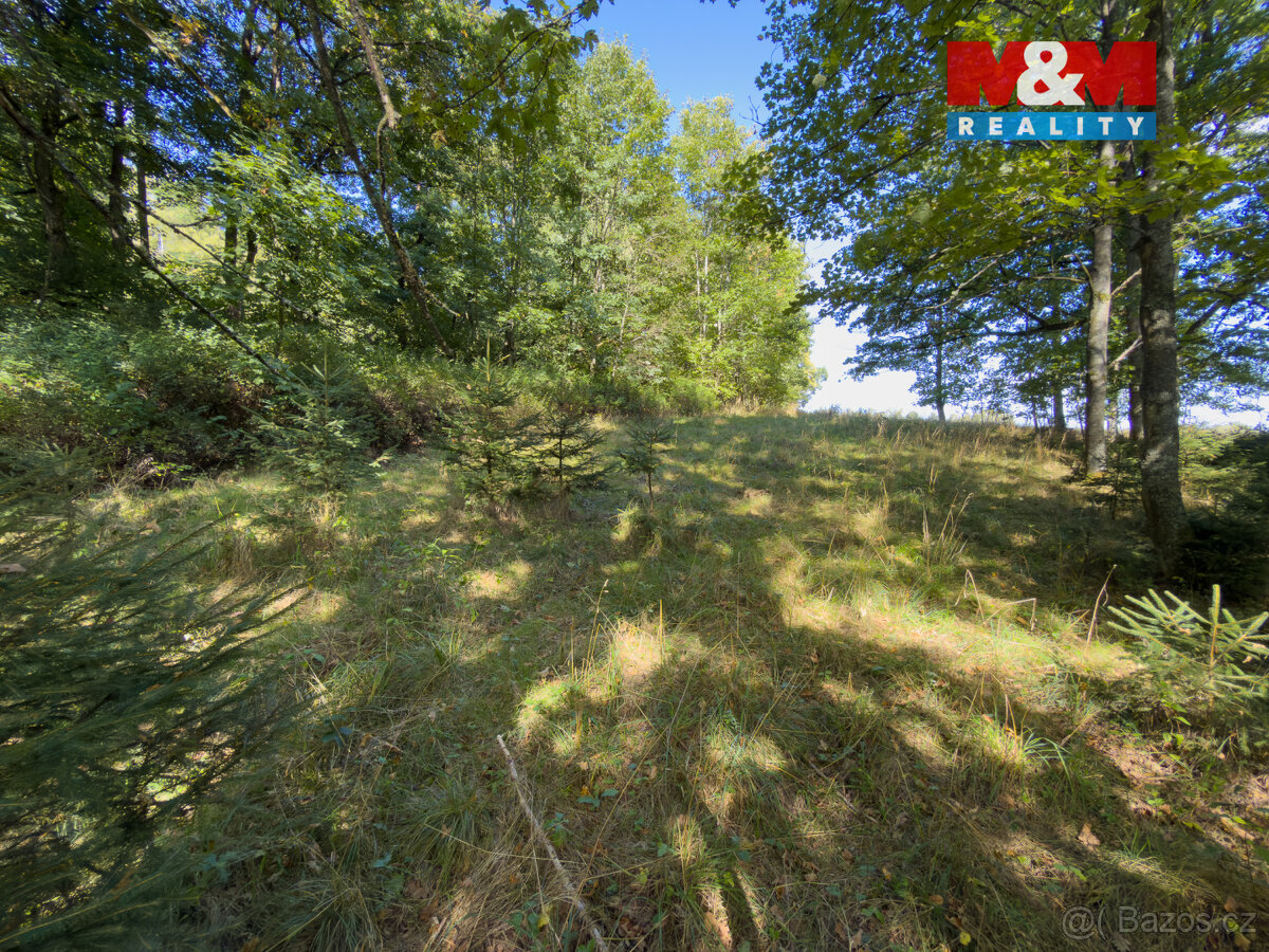 Prodej lesa, 1.757 m², Podhrad, Cheb - 10