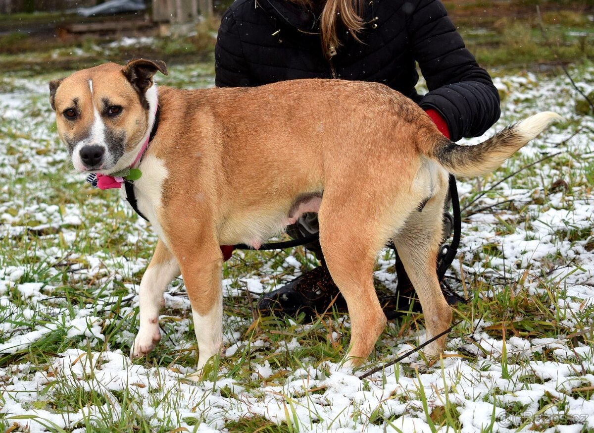 FLAVIA K ADOPCI - 2 ROKY, USMĚVAVÁ, KAMARÁDSKÁ - 10