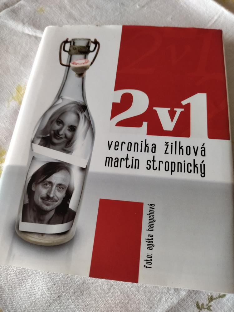 Deník šílené milenky, V. Javořická, K.Světlá, M.Holková,kal - 10