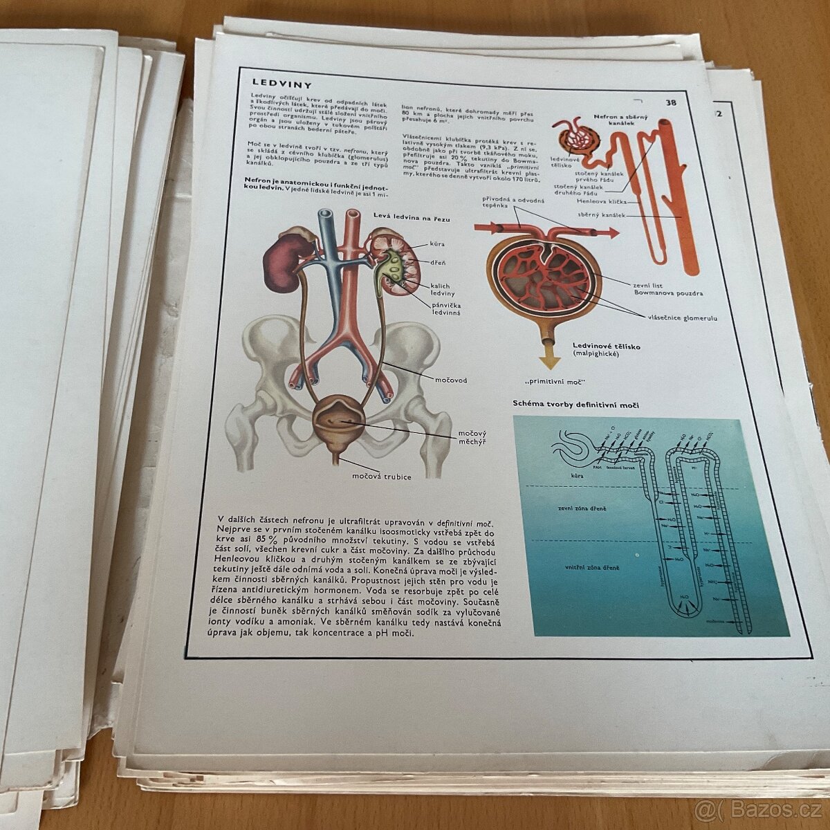 Retro- Biologie člověka v obrazech- A4 - 10