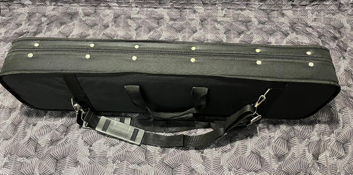 Cestovní kytara Washburn RO10 - 10