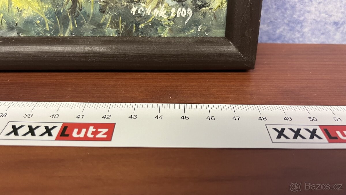 Dva obrazy krajin: Milan Čihák, české krajina/ Šumava. - 10