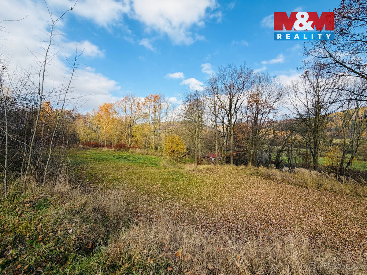 Prodej pole, 5000 m², Šumperk - 10