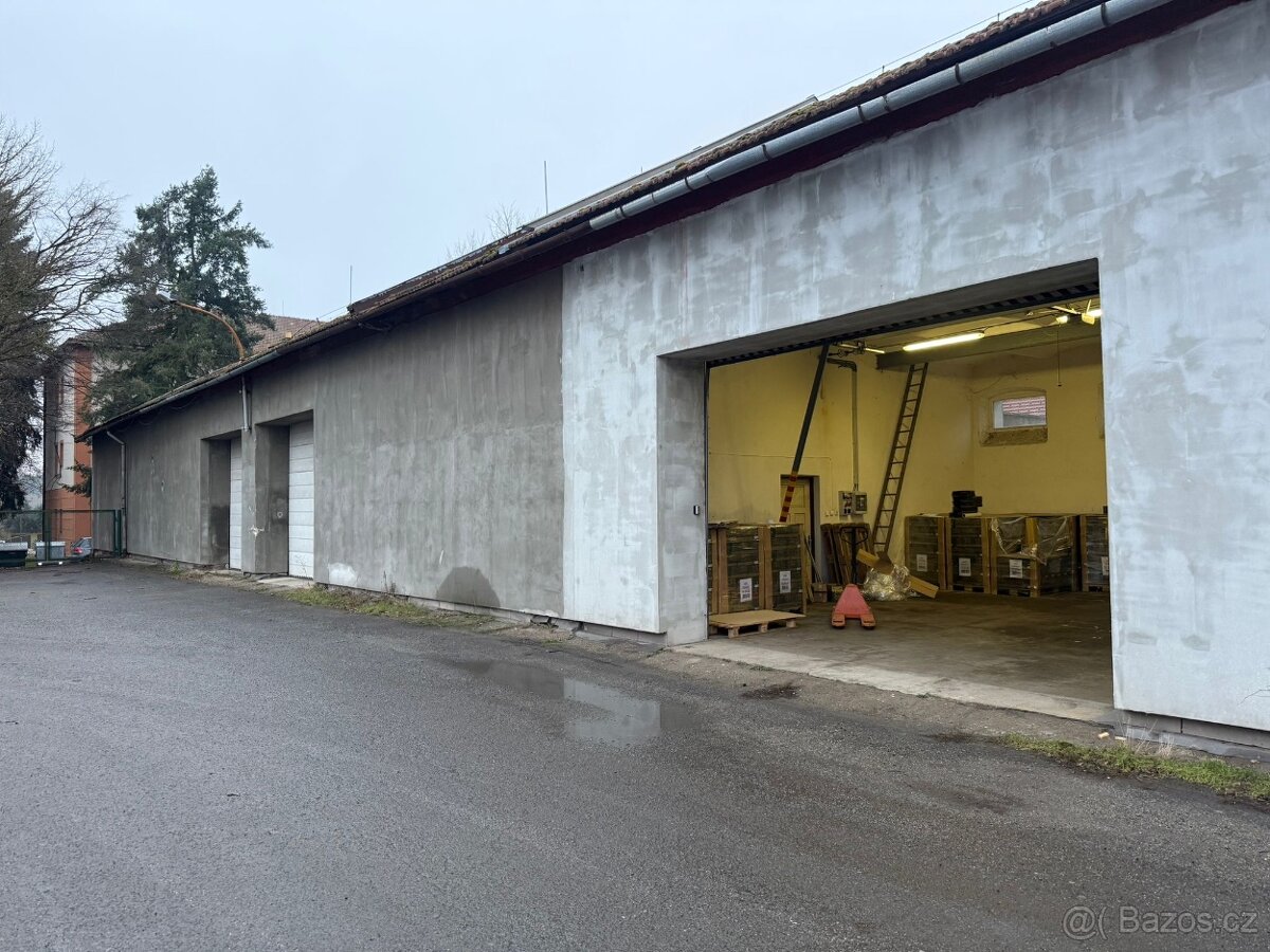Bzenec-prostory k pronájmu - 10