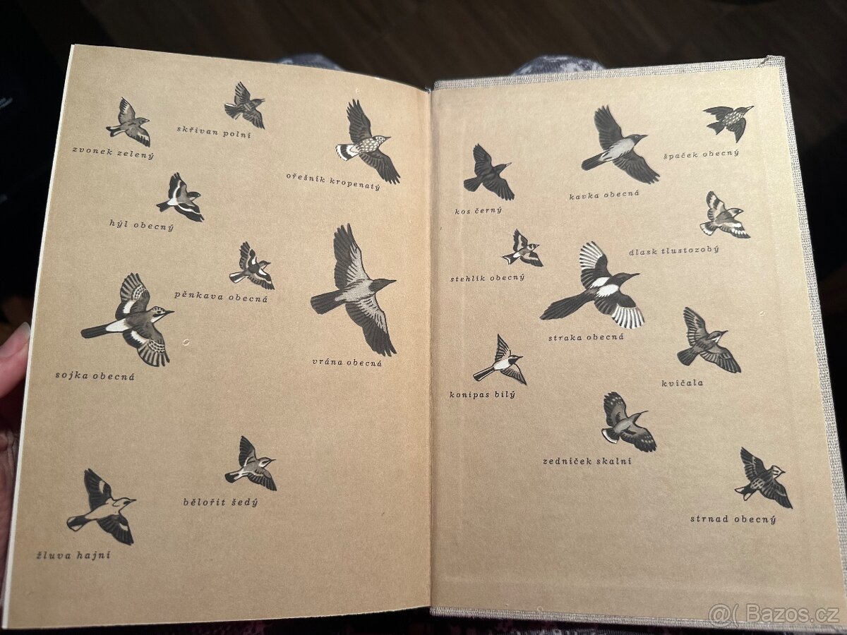 Světem zvířat - 10