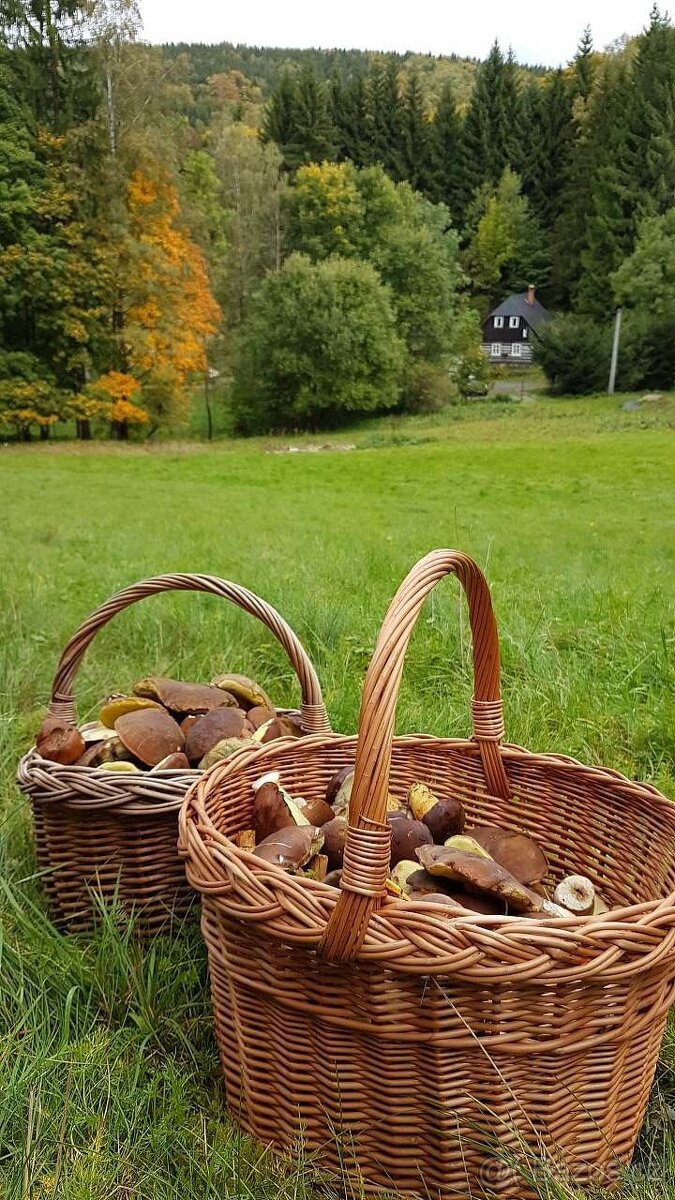 Týdenní pobyty na horách na chalupě u svahu (vzd. 300m) - 10