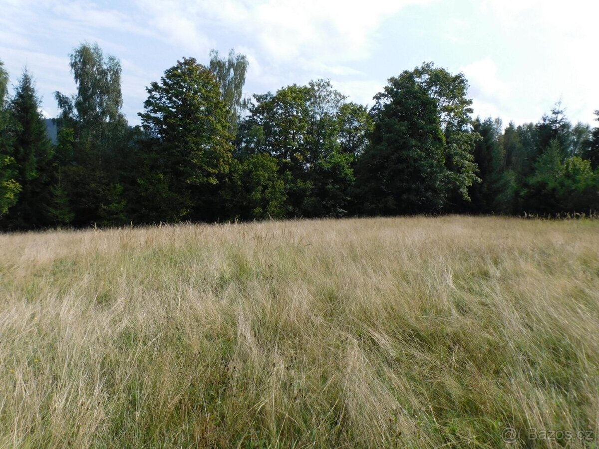 pozemek s chalupou na Slovensku u obce Klokočov - 10