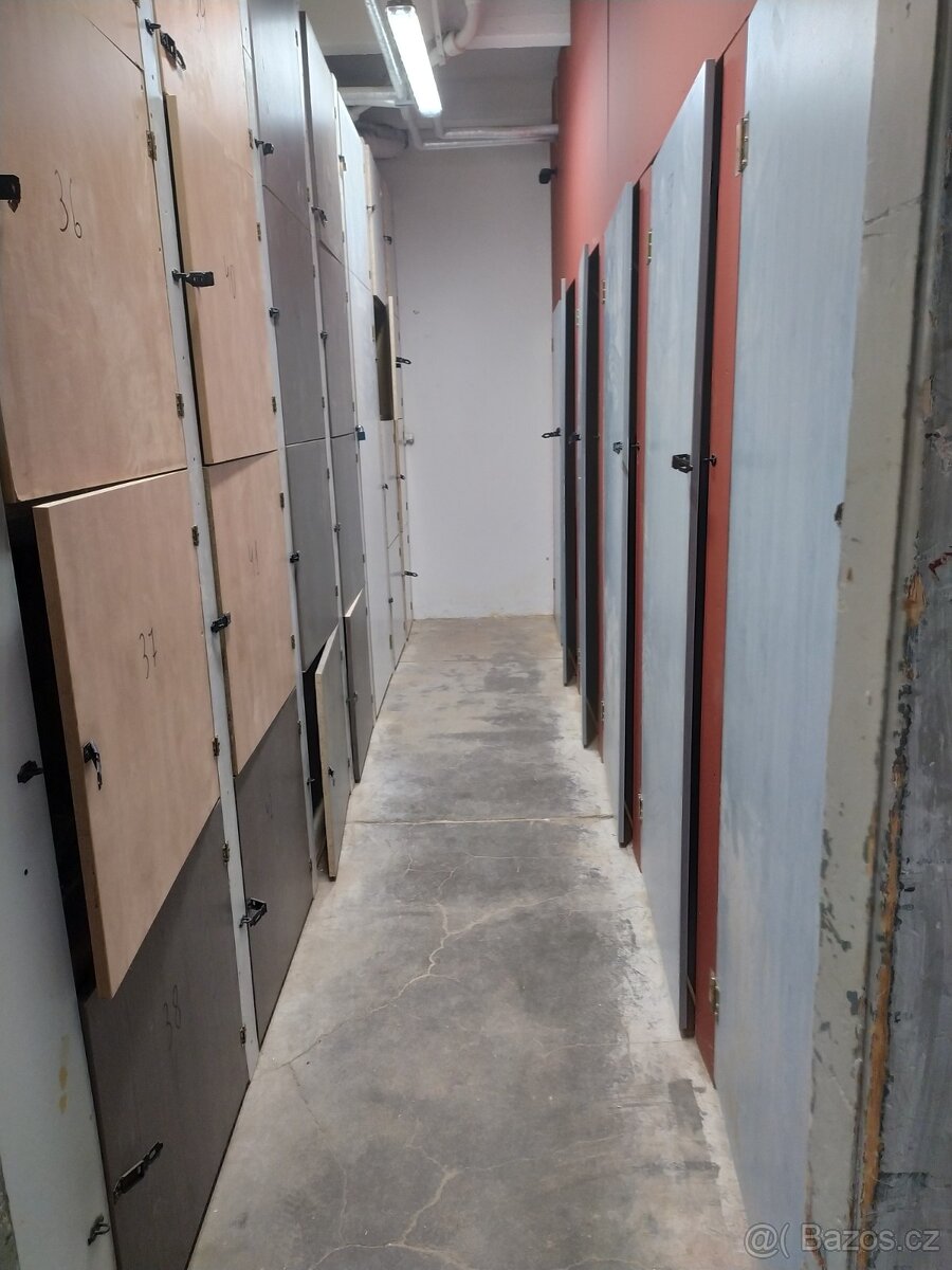 SLADOVACI KOJI PLZEN. - 10