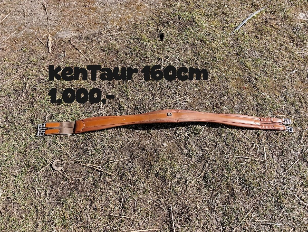 Výprodej sedlovny - 10