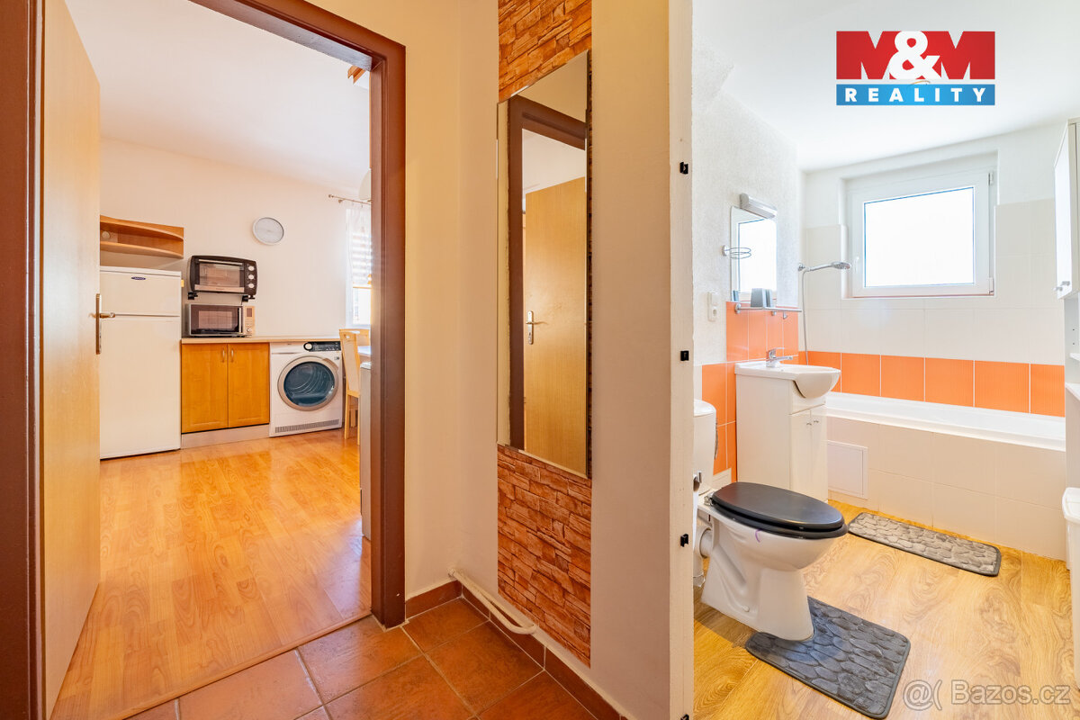 Pronájem bytu 1+1, 49 m², Horní Slavkov, ul. Dlouhá - 10