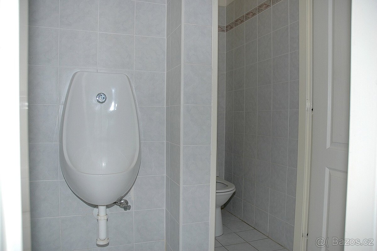 Pronájem nebytových/komerčních/kancelářských prostor - 10