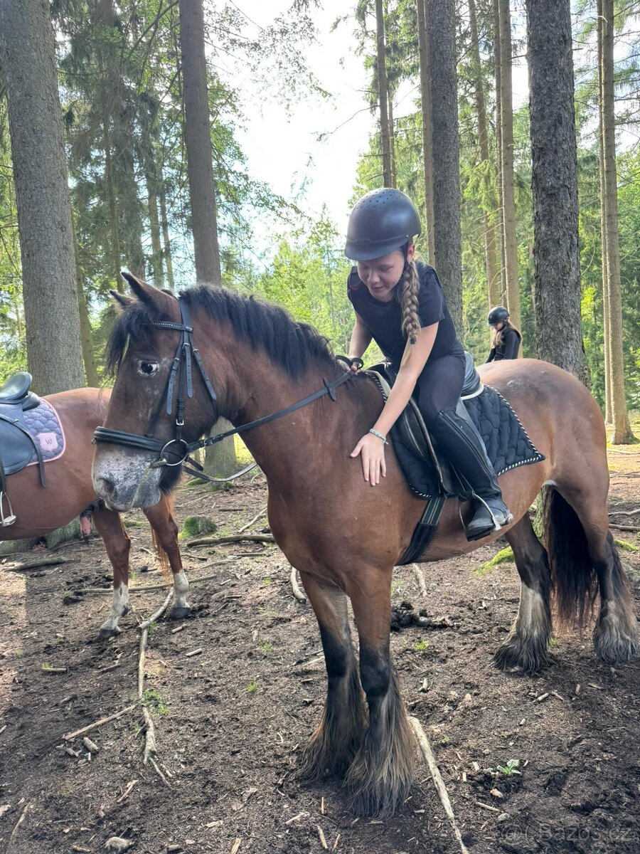 Tábor pro opravdové koňáky - 10