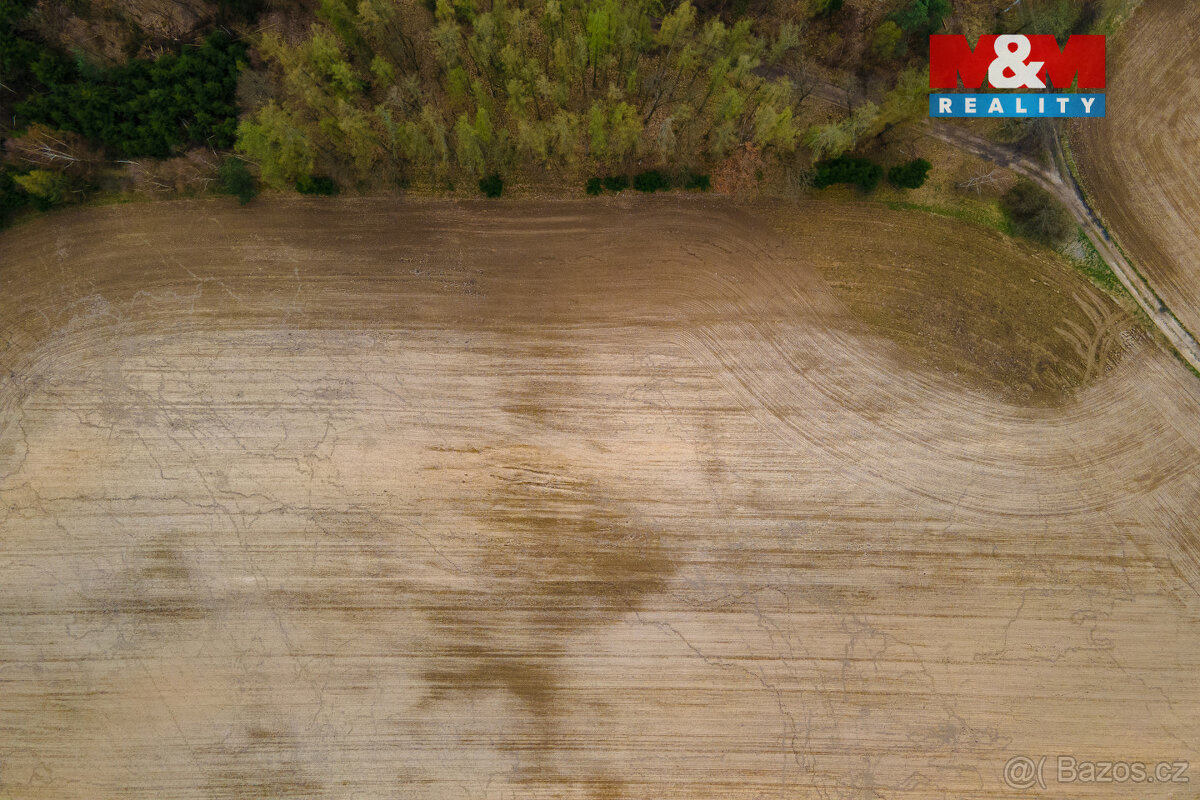 Prodej pole, 5839 m², Předenice - 10