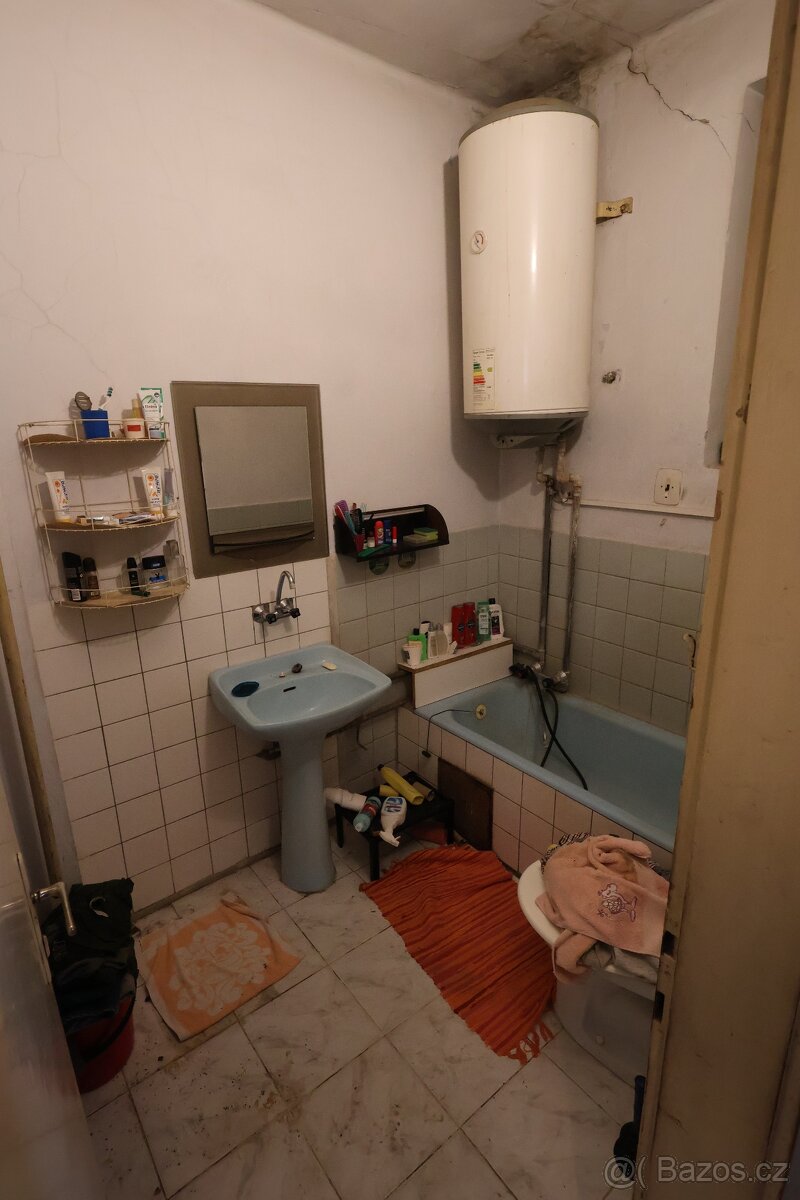 Prodej podílu velkého RD v Hrušovanech nad Jevišovkou - 10