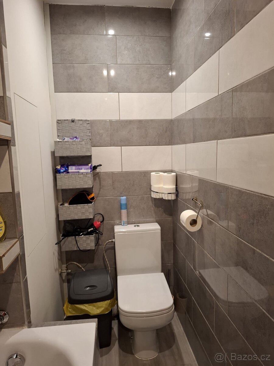 Byt k pronájmu - 10