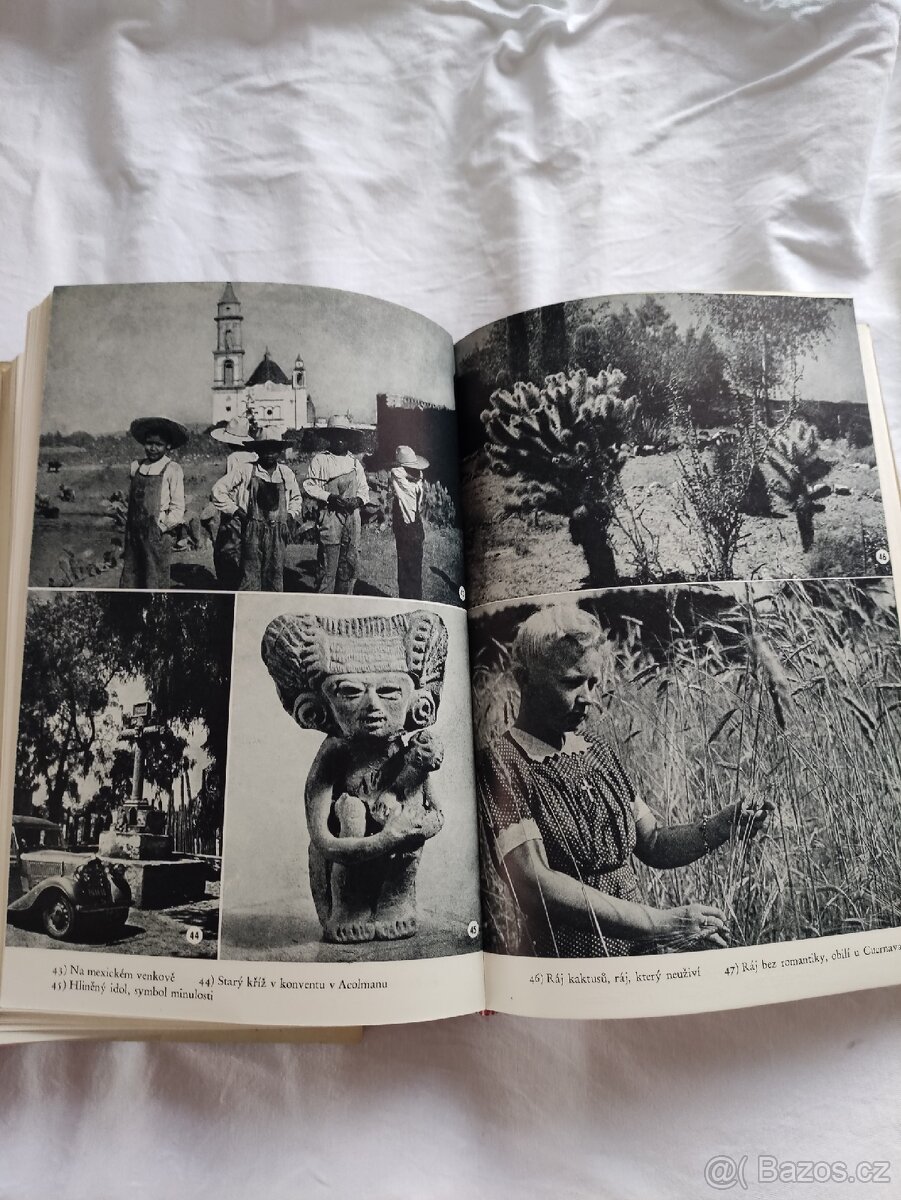 EVROPAN SE VRACÍ - A. F. Elstner - 10