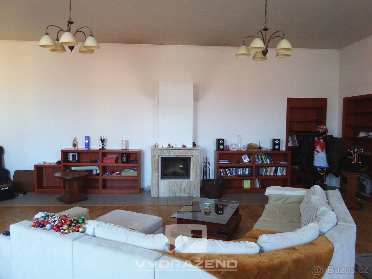 Dvoupodlažní dům (cca 400 m2), pozemky 1.130 m2. Dolní Kouni - 10