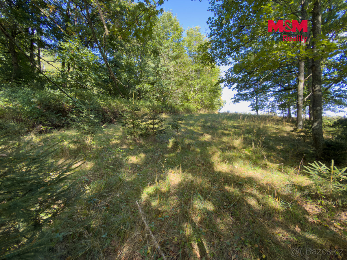 Prodej lesa, 1.757 m², Podhrad, Cheb - 10