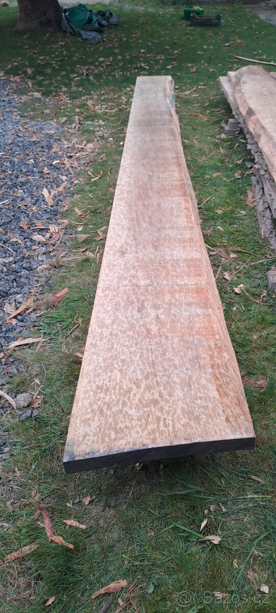 Prodám dubové fošny a prkna - 10