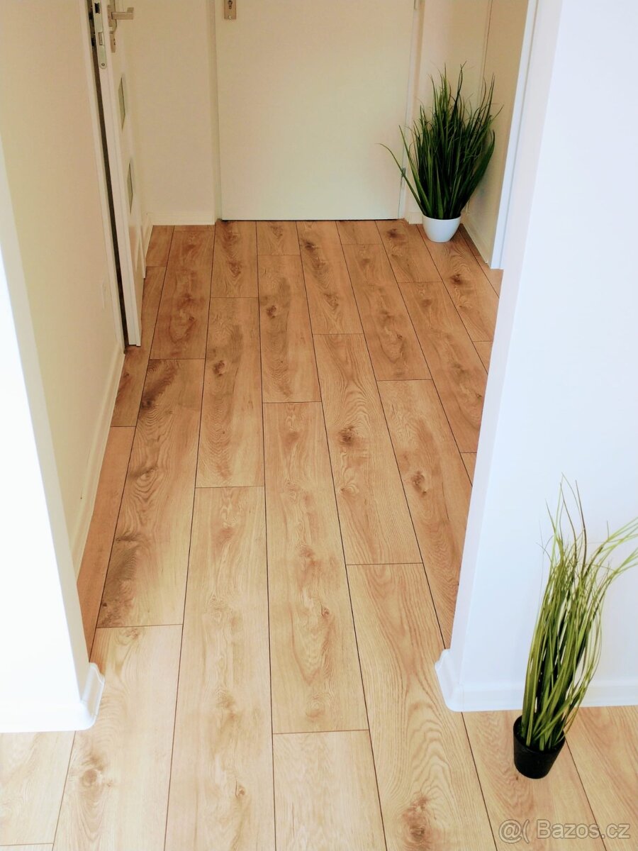 Pronájem bytu 1+1 - 10