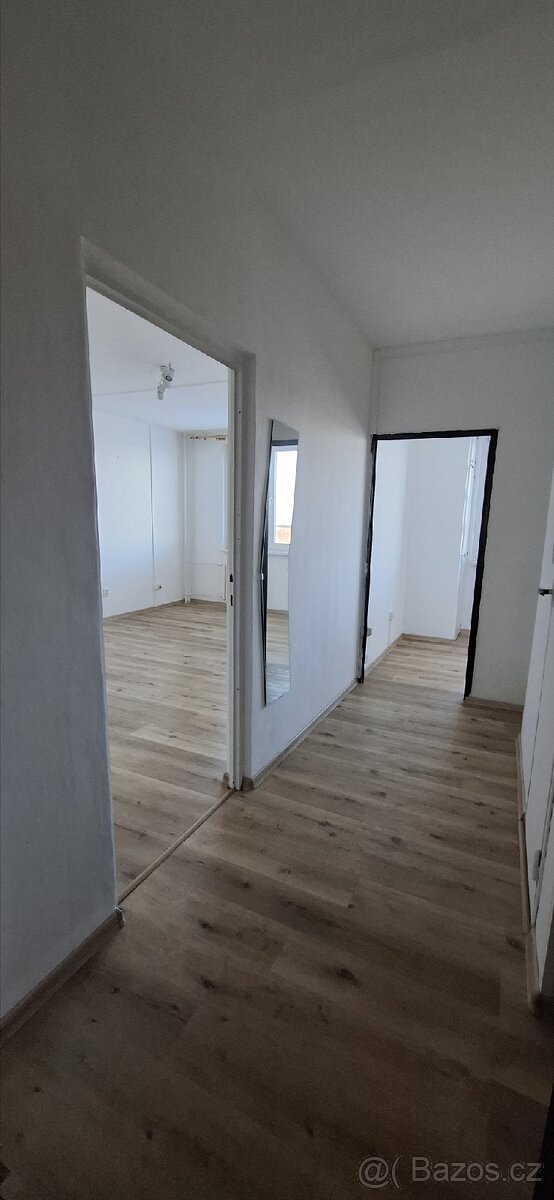 Dlouhodobý pronájem bytu 1+1 - 10
