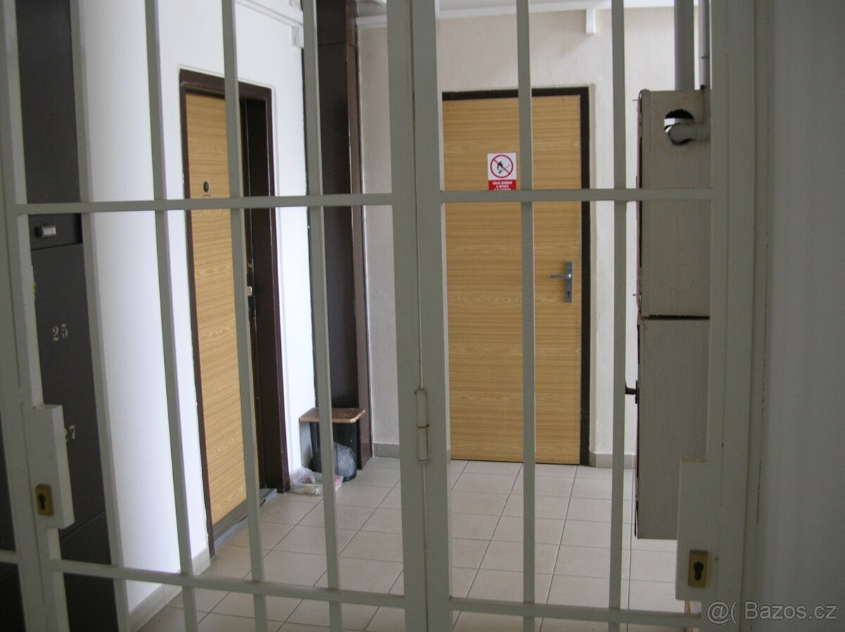 Masivní mříž mříže vrata dveře - 10