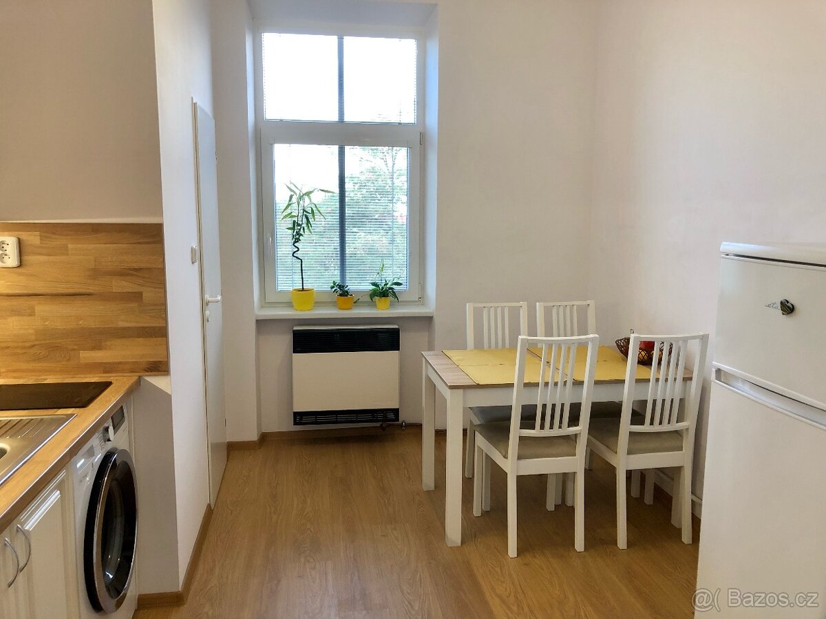 Pronájem bytu 1+1 - 10
