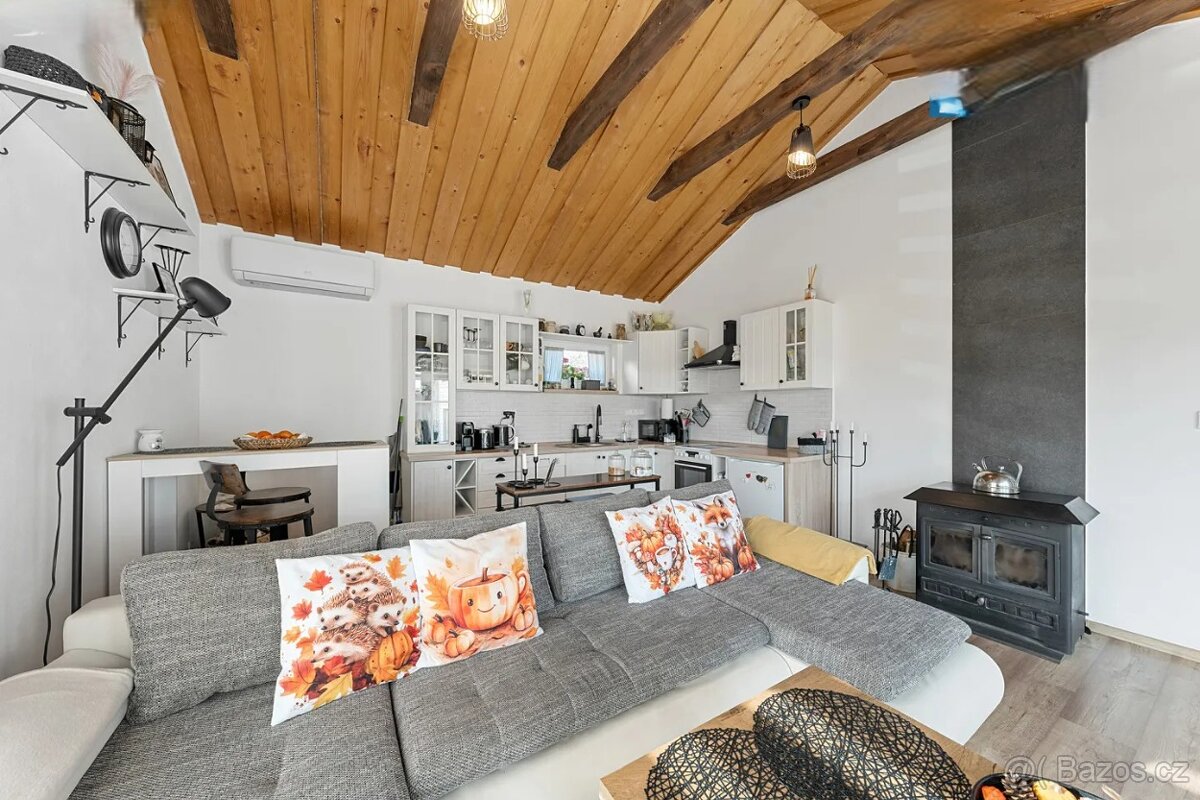 Dlouhodobý pronájem domu s možností pozdějšího odkupu - 10