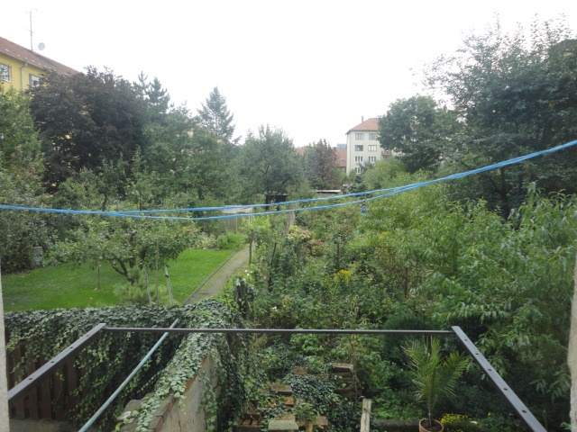 Pronájem 2+1, ulice Zborovská, Žabovřesky, 56 m2, balkon, ko - 10