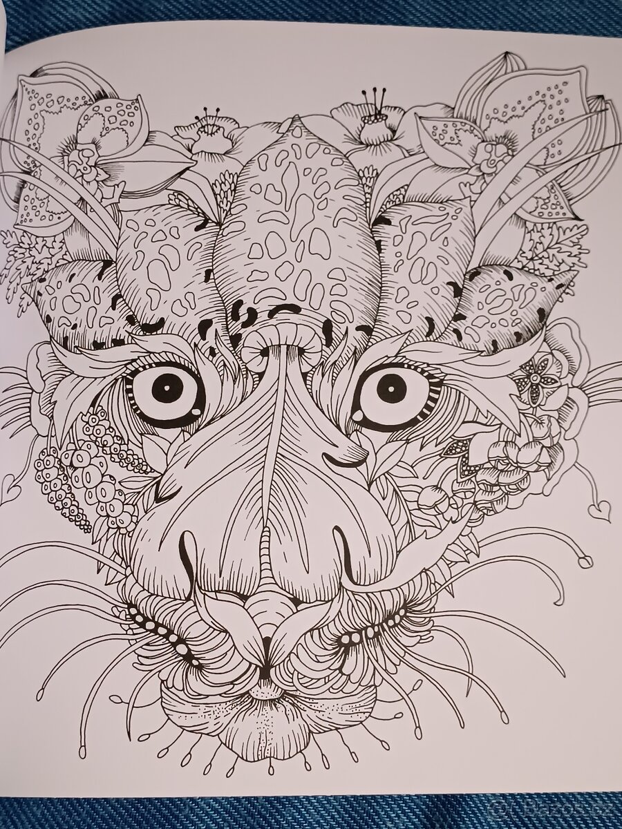 Omalovánky pro dospělé Exotický prales - 10