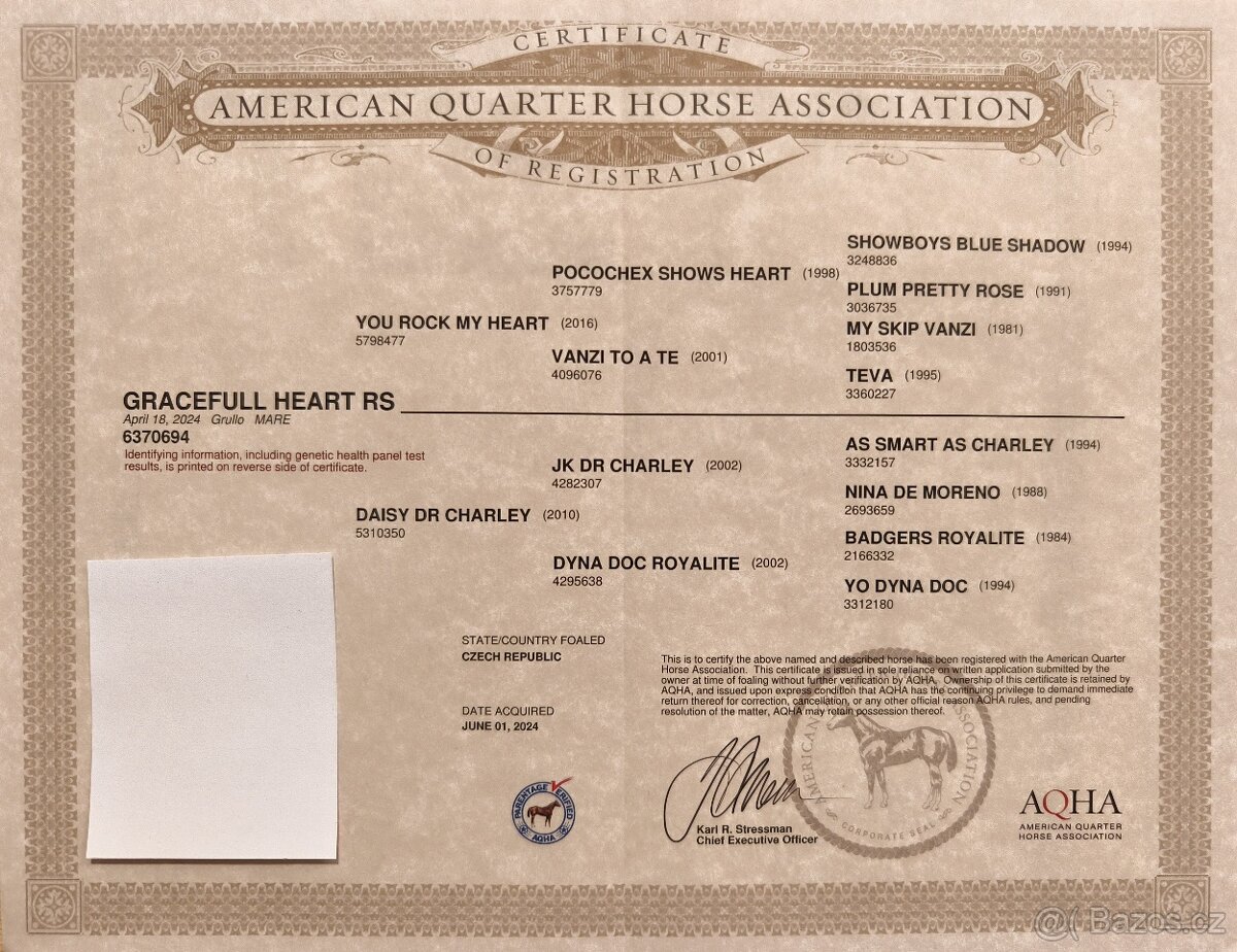 Krásná Grullo Klisna - 10