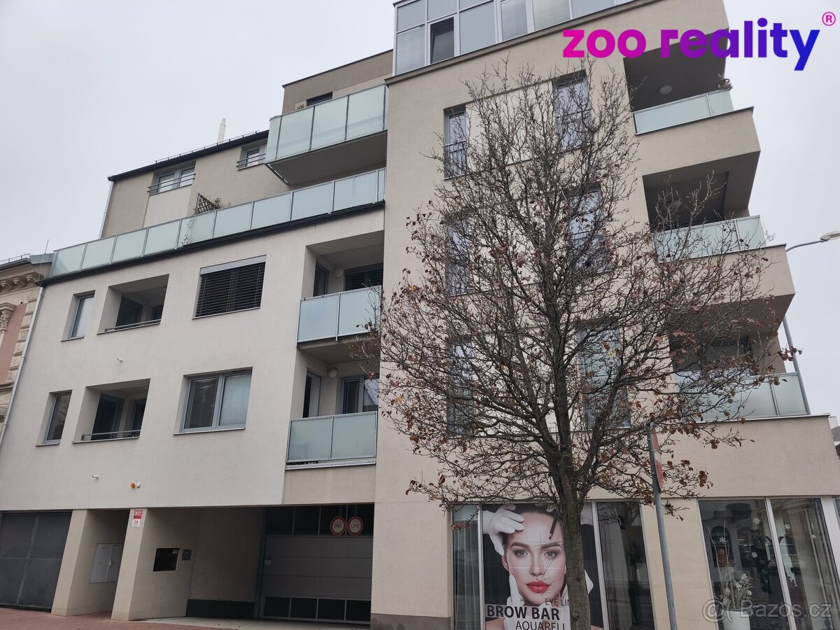 Pronájem, byt 2+kk, České Budějovice - 10